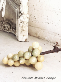 Tros druiven XL albast