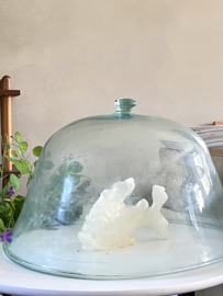 Antieke franse meloen cloche