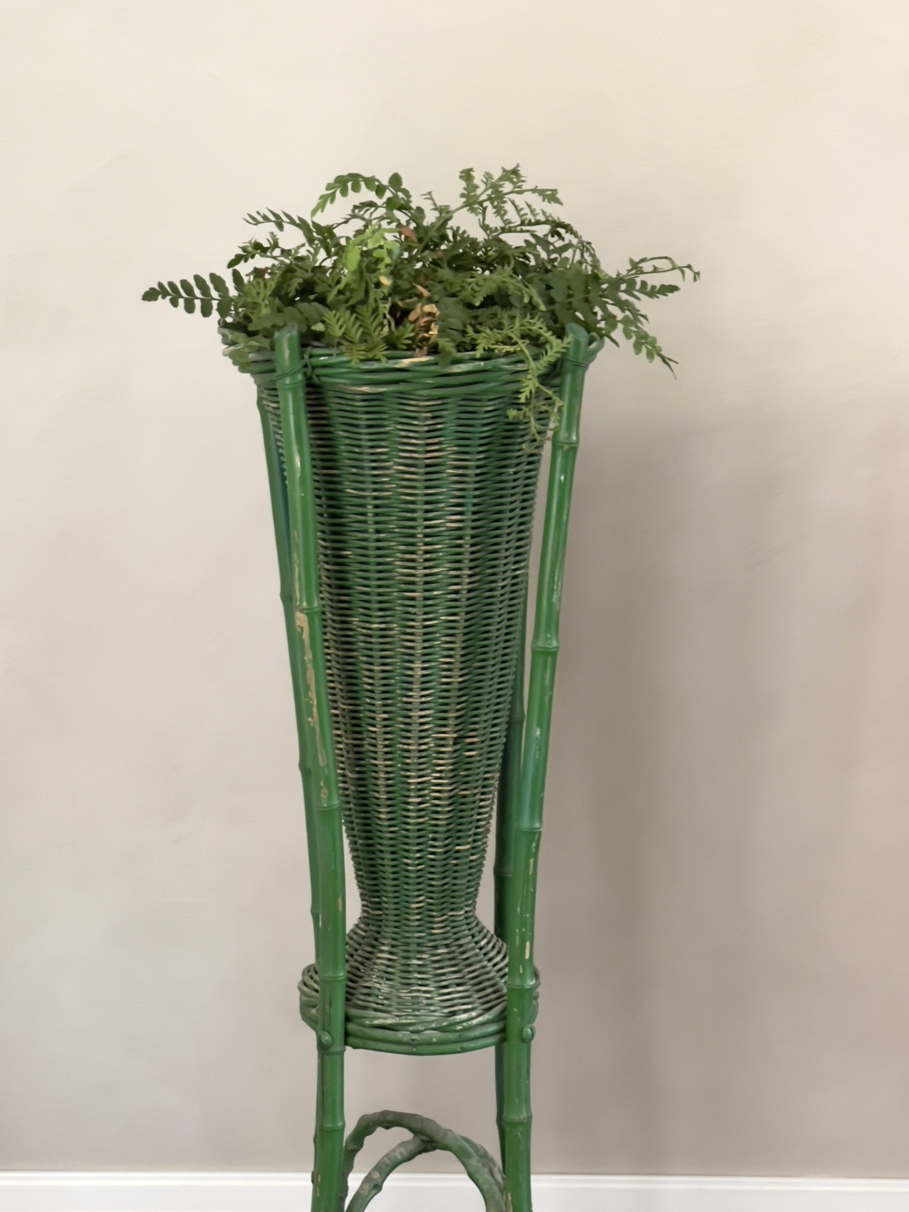 Oude planten standaard