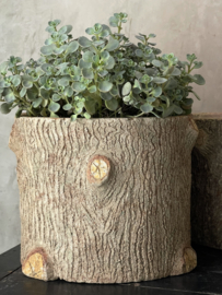 MIDSEASON SALE!   French concrete pots/ planters