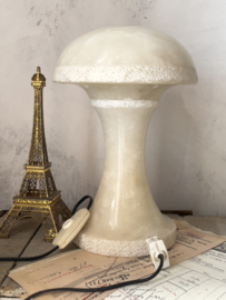 Special mushroom lamp