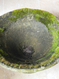 Concrete planter by Willy Guhl