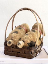 Basket with dogs