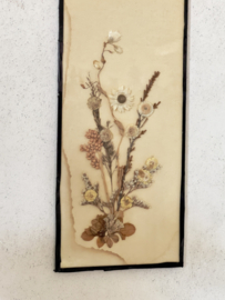 Vintage: old framed dried flowers