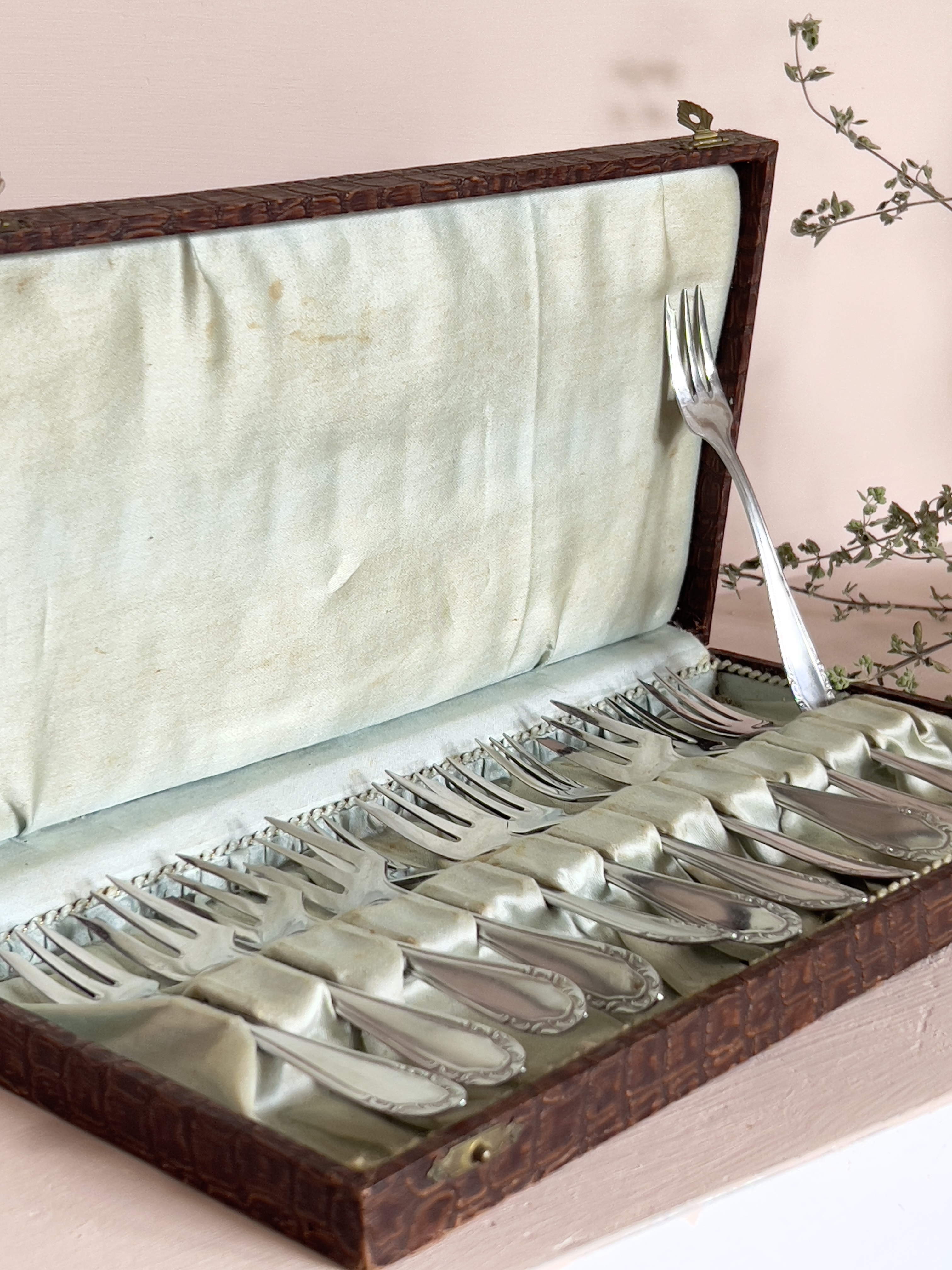 Wello cake forks in chest