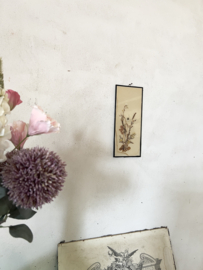 Vintage: old framed dried flowers