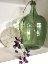 Oude gistings fles