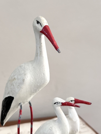 Stork