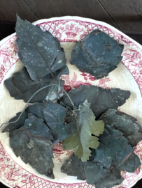 Antique sinc leaves