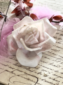 Biscuit porcelain rose