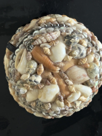 Vintage schelpen doos/ kistje