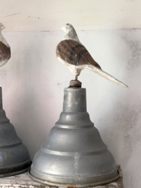 Set of two french doves on stand