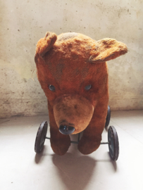 Antique bear on wheels