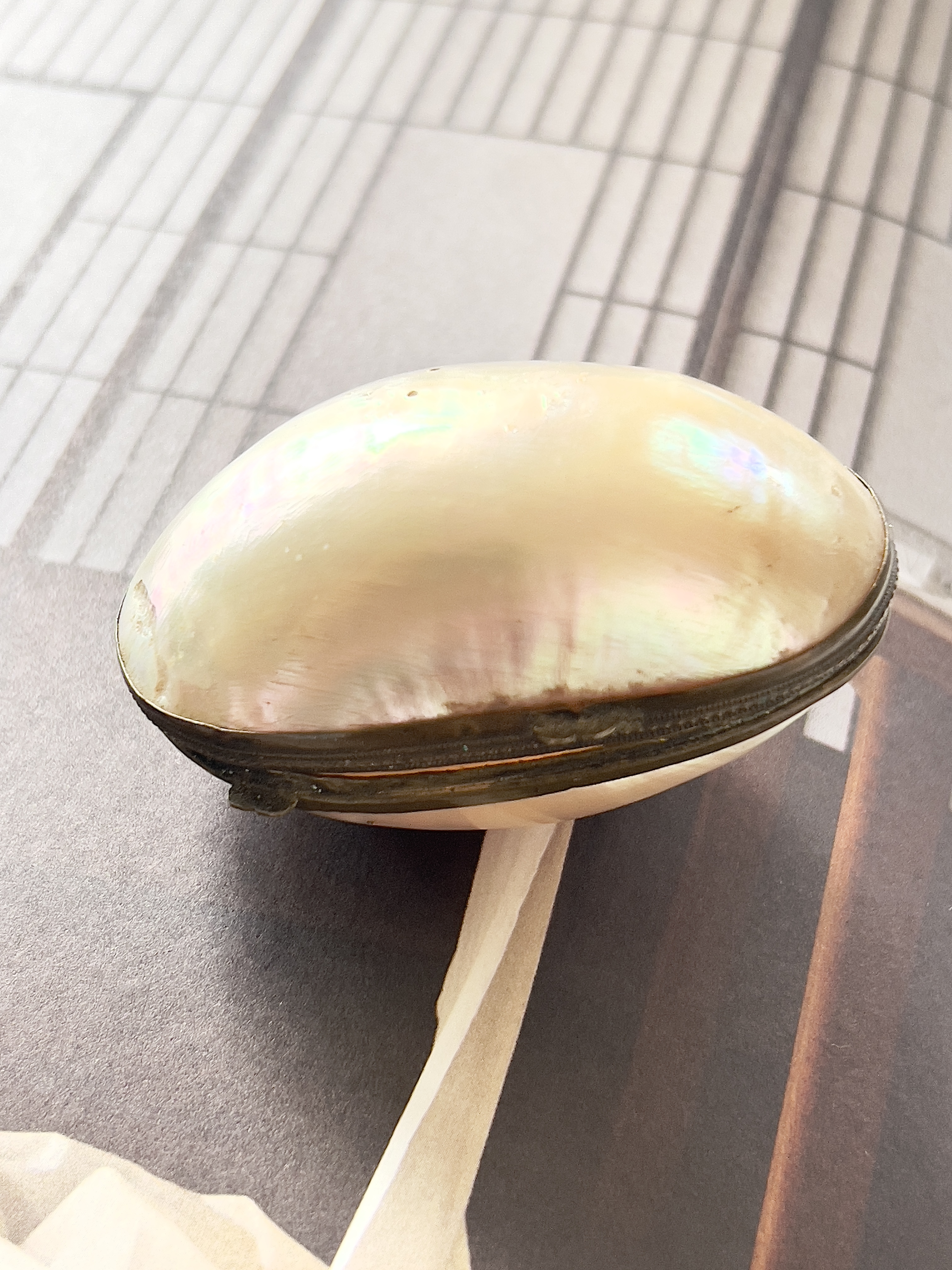 Parelmoer schelp juwelen kistje