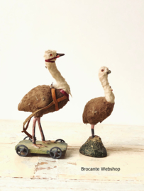 Antieke struisvogeltjes