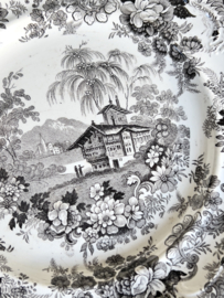 Antiek dish Opaque Genevese China