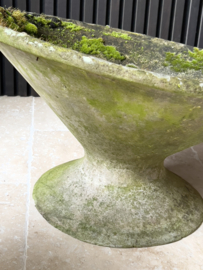Concrete planter by Willy Guhl