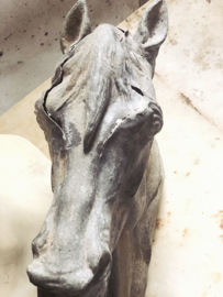 Old sinc french horse head