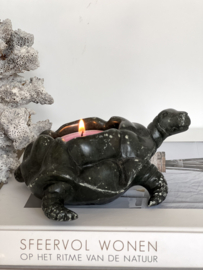 Old nature stone waxine holder turtle