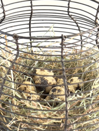 Brocante fil de fer egg basket