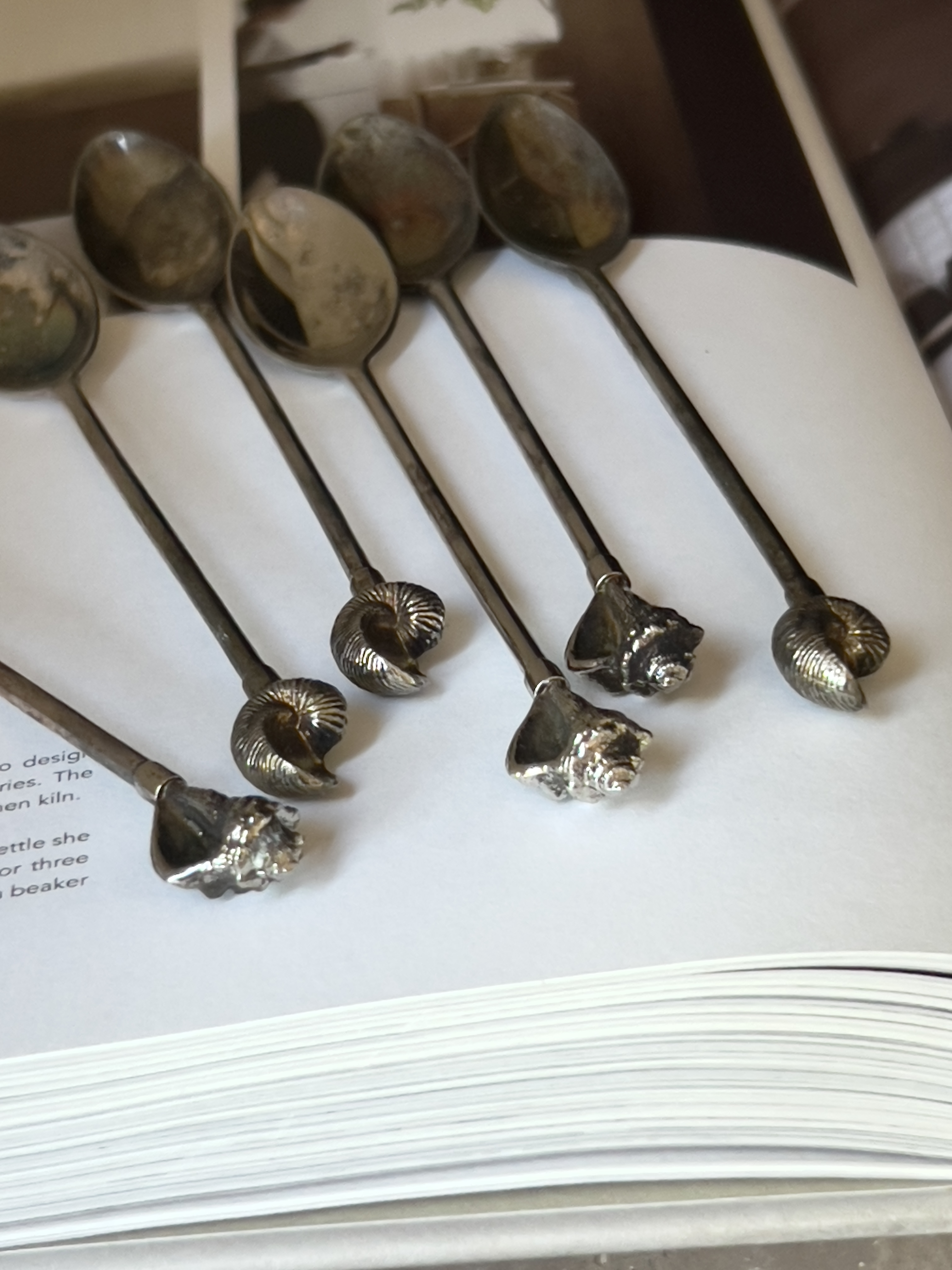 Set verzilverde theelepeltjes schelpen