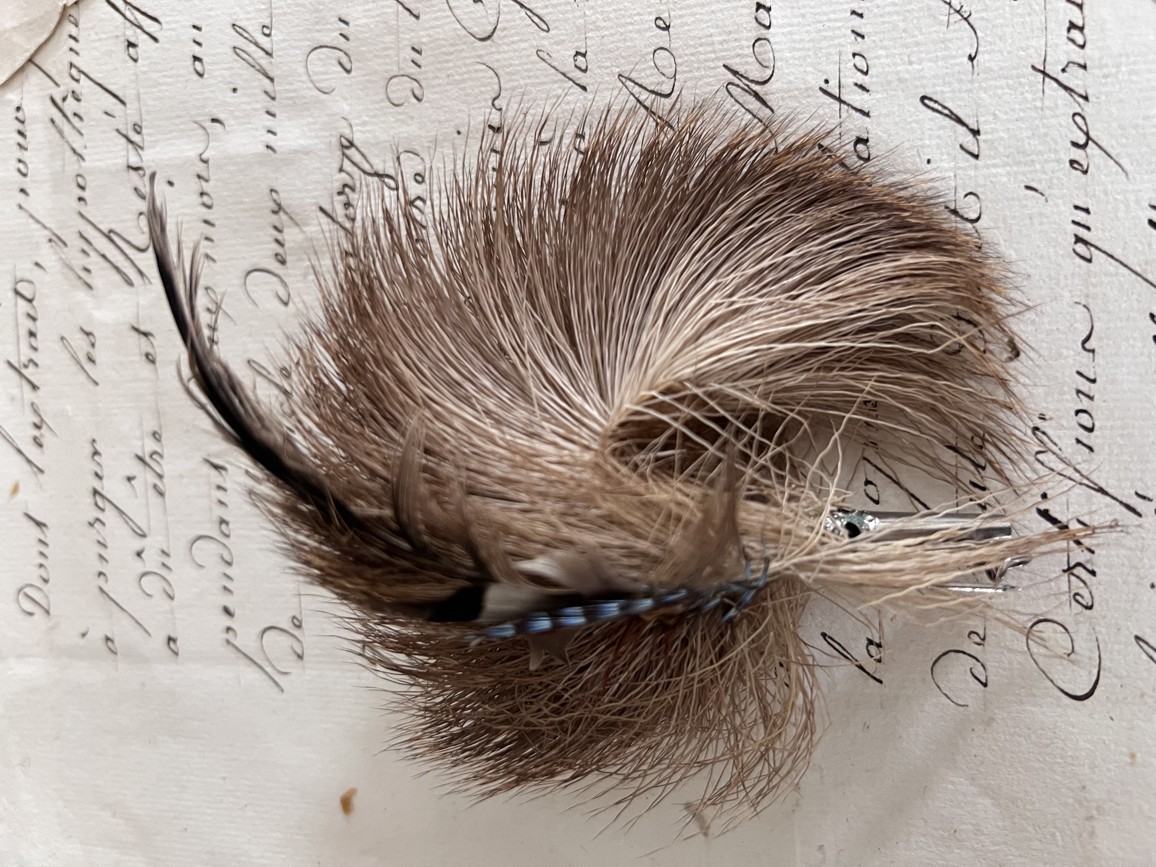 Corsage/ Hoeden veer