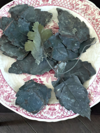 Antique sinc leaves