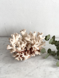 Antique piece of coral