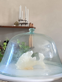 Antieke franse meloen cloche