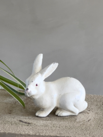 Cast iron bunny