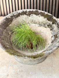 Antieke Willy Guhl plantenbak/ vaas