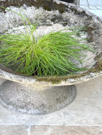 Antieke Willy Guhl plantenbak/ vaas