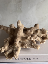 Uniek GROOTS bijzonder koraal object