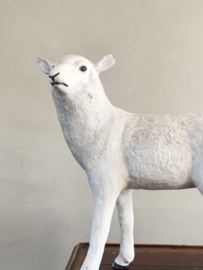 XL antique french ceramic lamb
