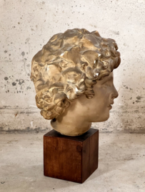 Beautiful french bust