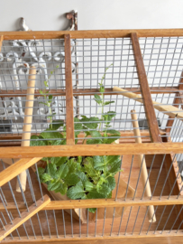 Brocante bird cage
