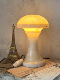 Bijzondere mushroom lamp