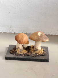 Old school material mushrooms
