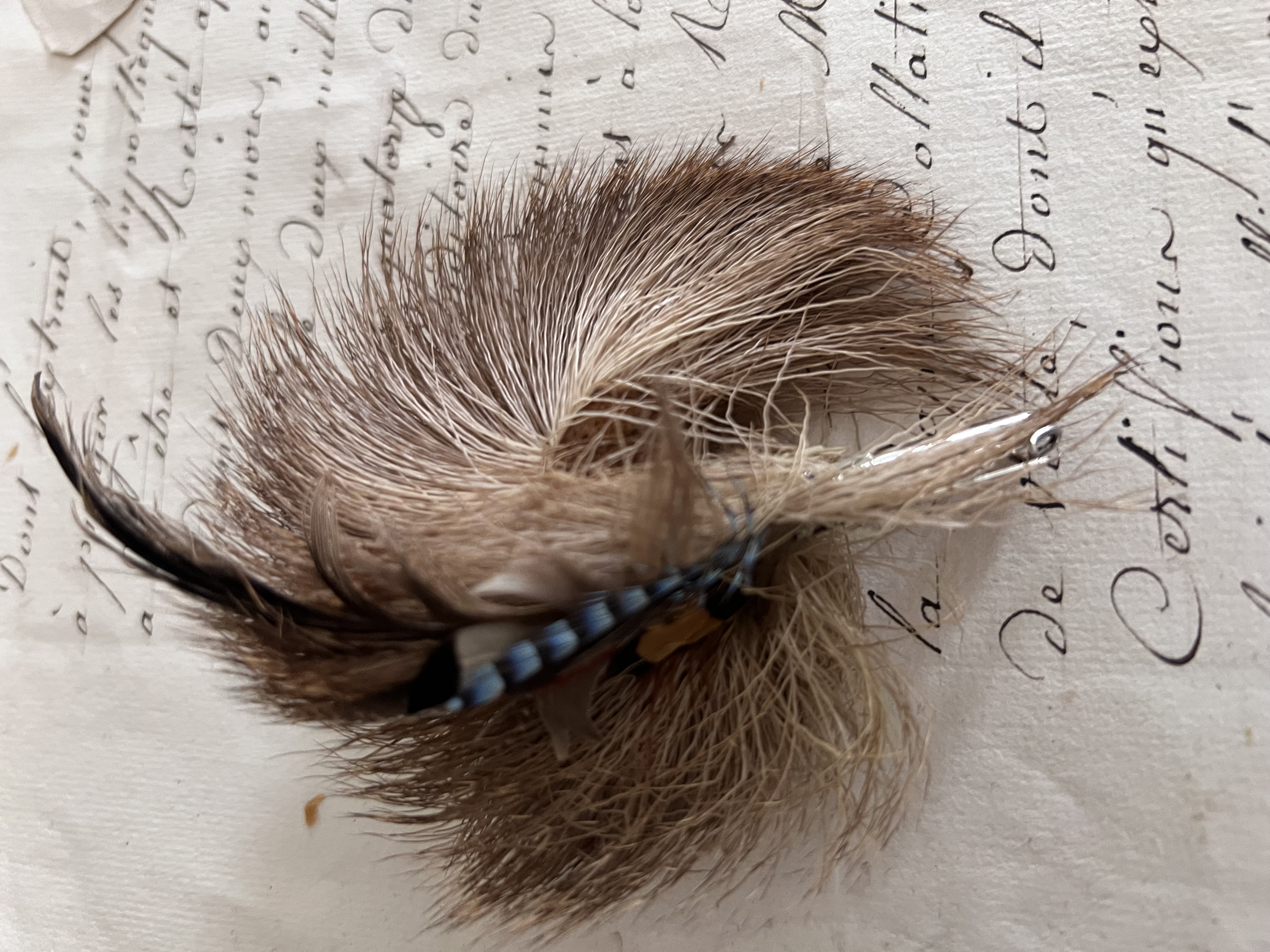Corsage/ Hoeden veer
