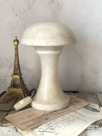 Bijzondere mushroom lamp