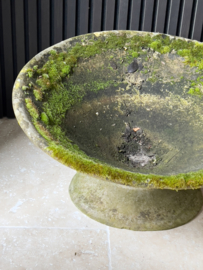 Concrete planter by Willy Guhl