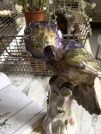 Oude keramieken papegaai