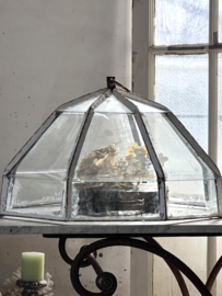 Oude tuin cloche/ kweekkas