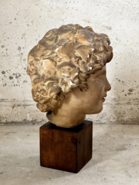 Beautiful french bust