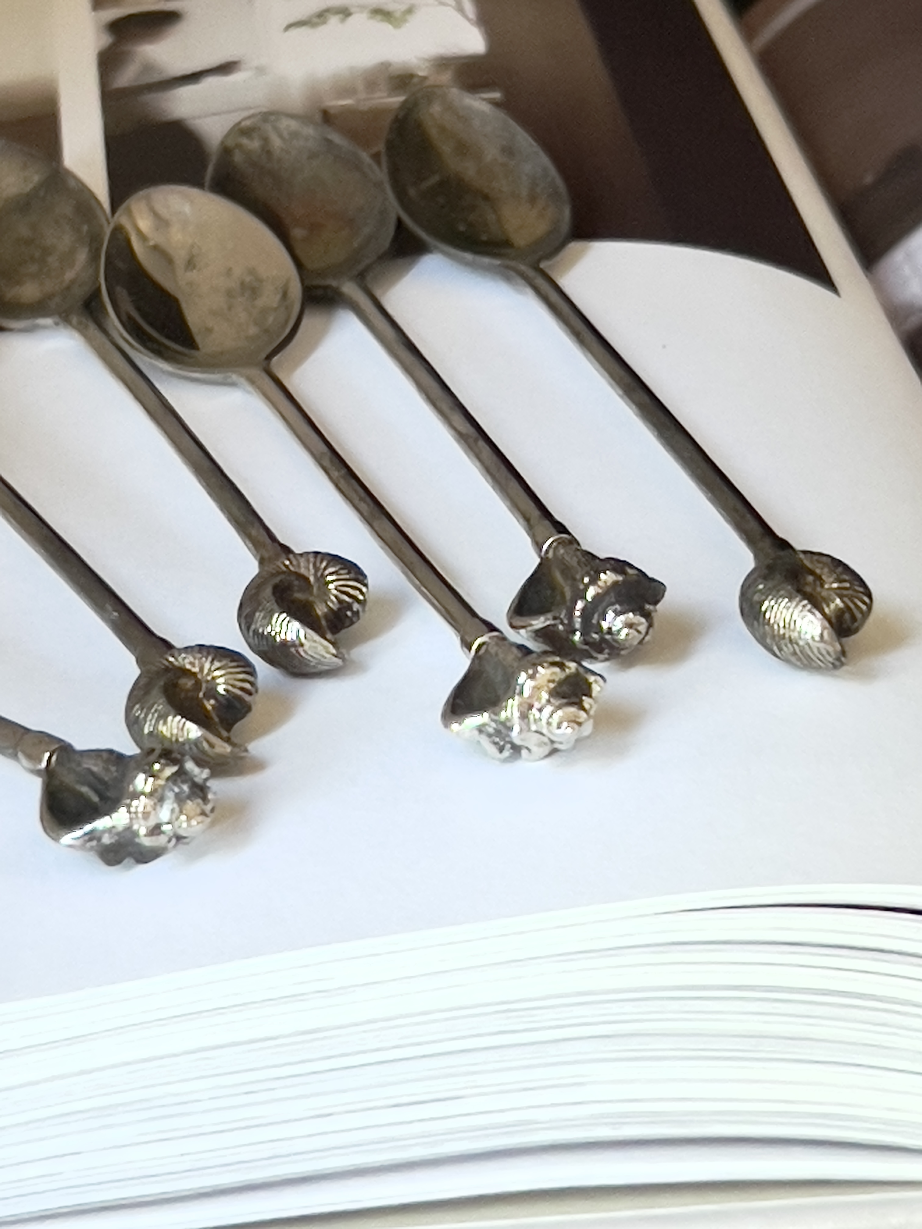 Set verzilverde theelepeltjes schelpen