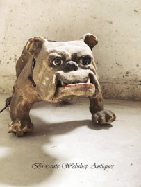 Unique late Victorian Bulldog   about 1890