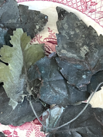 Antique sinc leaves