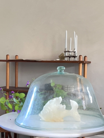 Antieke franse meloen cloche