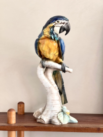 Unique Mid Century Italian parrot
