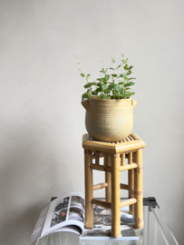 Vintage bamboe planten tafeltje